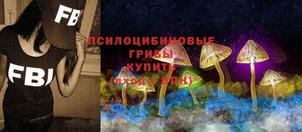 молекула духа Алексеевка