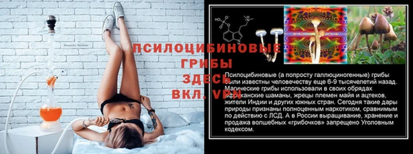 эйфоретик Абаза