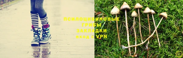 винт Алексин