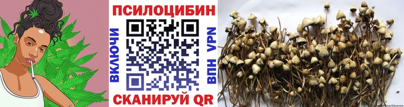 Псилоцибиновые грибы ЛСД  Сертолово 