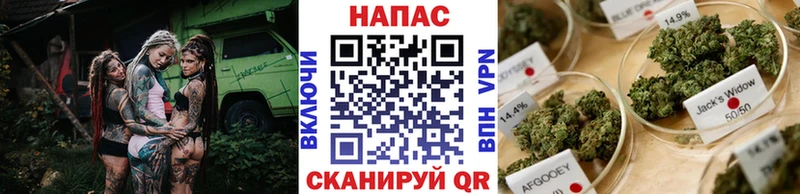 МАРИХУАНА индика  цена   Сертолово 